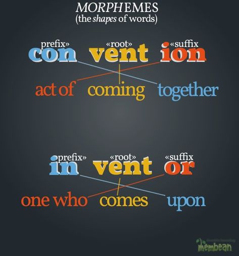 Graphic that shows how words come together and become organized. Pure Vowels, Linguistics Study, Teaching Prefixes, Latin Root Words, Essay Writing Examples, Writing Examples, Shades Of Meaning, Prefixes And Suffixes, Group 4