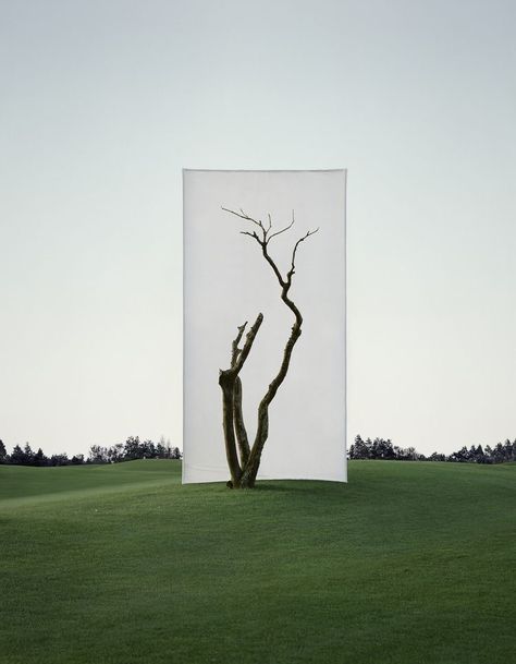 Canvas Background, 3d Studio, Korean Artist, Sculpture Installation, Environmental Art, Land Art, Daegu, Public Art, Urban Art