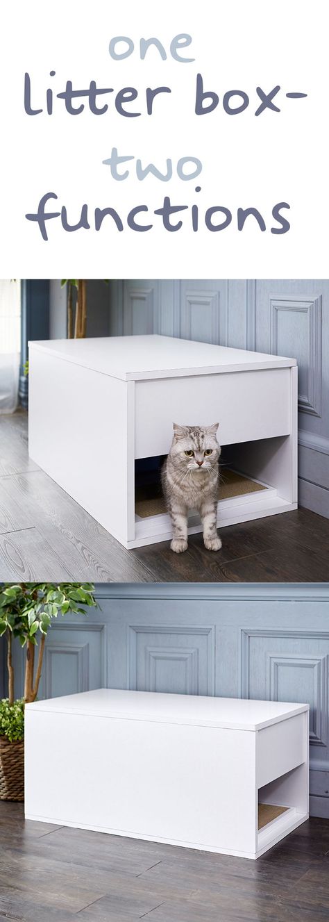 Super Easy HACK! This litter box doubles as a side-table which in turn saves LOTS of space!  #litterbox #cats #catproducts #ecofriendly #scratcher #kitty #white #furniture #paws #scratchpad #smallspaces #small #studio #apartment Stacked Litter Box Ideas, Cat Litter Box Ideas, Studio Apartment Furniture, Litter Box Ideas, Cat Litter Box Enclosure, Furniture Studio, Litter Box Enclosure, Cat Products, Apartment Organization