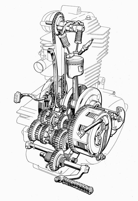 Naked Thumper http://goo.gl/MhP532 #Art #Engine #Motorcycle Motos Vintage, Motorcycle Drawing, Automobile Engineering, Bike Engine, Technical Illustration, Honda Bikes, Automotive Mechanic, Motorcycle Art, Old Bikes