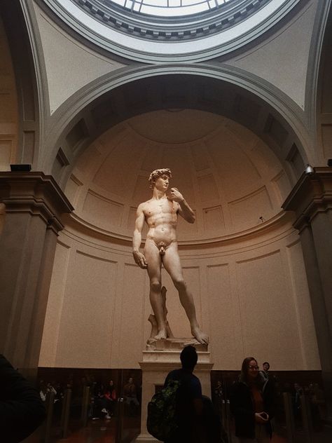 Statue Of David Aesthetic, David Michaelangelo, Sculpture Of David, The Statue Of David, Dorm Pictures, Michelangelo Paintings, Statue Of David, Michelangelo's David, David Statue