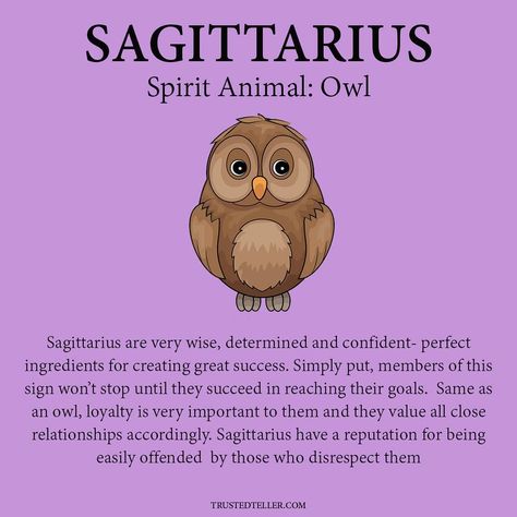 Sagittarius Spirit Animal, Zodiac Sagittarius Facts, Sagittarius Personality, Zodiac Sign Sagittarius, Sagittarius Traits, Sagittarius Astrology, Zodiac Things, Sagittarius Quotes, Sagittarius Women