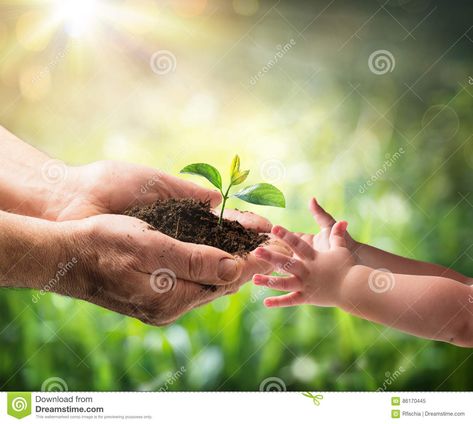 Photo about Old Man Giving Young Plant To A Child - Environment Protection For New Generation. Image of care, farmer, concept - 86170445 Benefits Of Healthy Eating, Eco Earth, Environment Protection, Areas Verdes, Environmental Conservation, Sacred Feminine, Green Nature, Nature Backgrounds, Renewable Energy