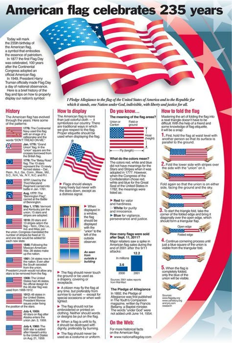 Ahg Pathfinders, American Flag History, Flag Etiquette, Bear Scouts, Flag Code, American Heritage Girls, American Government, United States Flag, Cub Scout