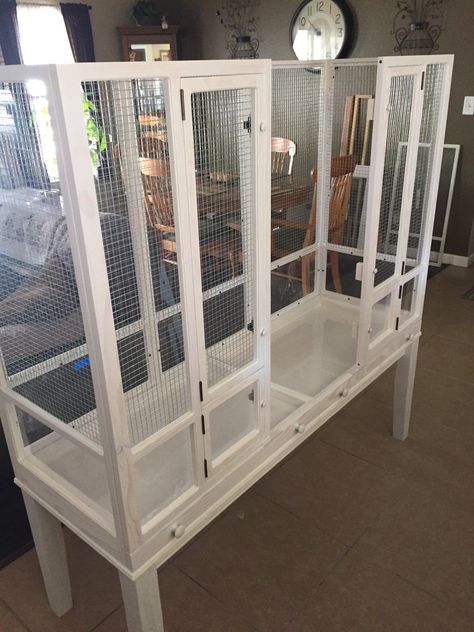 Flight Cage: Assemble Base and Legs : 3 Steps (with Pictures) - Instructables Homemade Bird Cage, Bird Cage Ideas Diy, Macaw Cage, Diy Bird Cage, Flight Cage, Pocket Holes, House Upgrades, Backyard Farm, Cat Patio