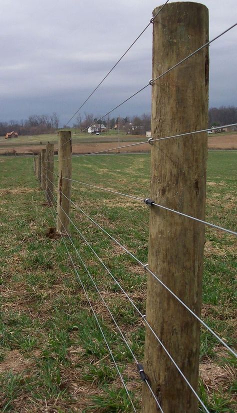 Hi Tensile Fence, Telephone Pole Fence, High Tensile Fence, Goat Fence, Goat Shelter, Earth Bag Homes, Horse Barn Designs, Ranch House Decor, Country Fences