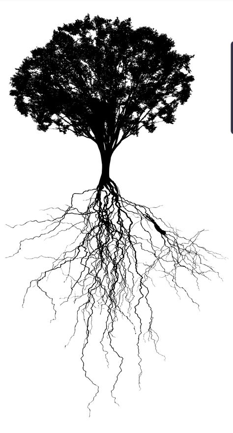 Tree Roots Drawing, Roots Aesthetic, Tree With Deep Roots, Yggdrasil Tattoo, Roots Drawing, Tree Roots Tattoo, Tattoo Espalda, Jhin League Of Legends, Roots Tattoo