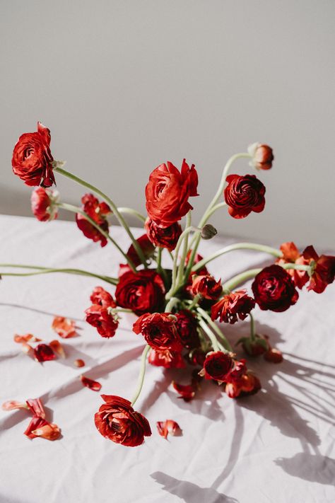 Floral arrangement made with red ranunculus. Photo: www.marcossanchez.net Flower Ikebana, Red Ranunculus, Ranunculus Arrangement, Red Flower Arrangements, Floral Therapy, Ranunculus Bouquet, Holiday 2024, Red Bouquet, Brand Shoot