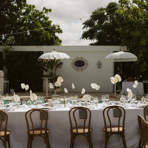 Sophisticated simplicity with the white anthuriums, representing hospitality and welcoming vibes ✨ . Photography @sandrinephiliephotography Florist @bevilacquafiori Venue @casa_sacoto Rentals @backup.event Stationery @inloveweddings . #tabledecorinspiration #weddingdetails #destinationwedding #portugalweddings #spainwedding #weddinginportugal #europeanwedding # Anthurium Wedding, Vibes Photography, Event Stationery, Portugal Wedding, European Wedding, Destination Wedding Planner, Planner Design, Wedding Details, The White