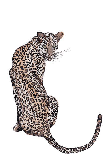 Leopard Art Illustration, Leopard Illustration, Dibujos Toy Story, Leopard Tattoos, Leopard Art, Textile Designer, Arte Inspo, South London, Leopards