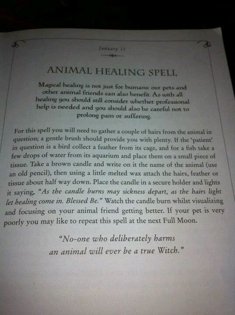 Healing Spells | Animal healing spell Healing Spells For Animals, Spell For Pet Health, Dog Healing Spell, Animal Healing Spell, Cat Healing Spell, Pet Health Spell, Healing Spell For Pets, Pet Healing Spell, Animal Witchcraft