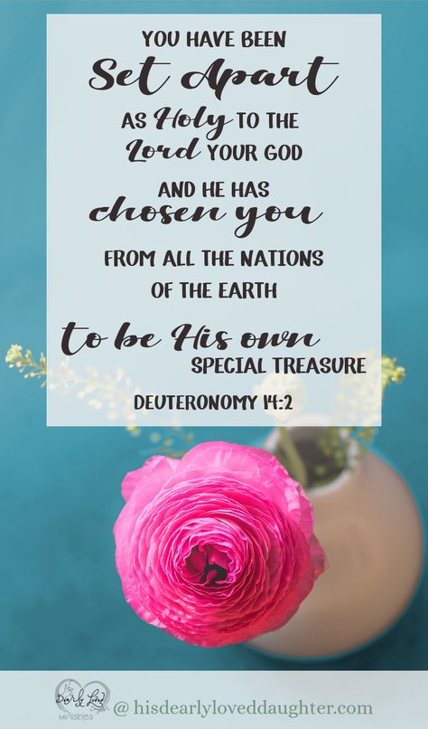 You have been set apart as holy to the Lord your God, and he has chosen you from all the nations of the earth to be his own special treasure. Deuteronomy 14:2 #hisdearlyloveddaughter #bibleverse #scripture #wordofgod Bible Verse Memorization, He Is Lord, Work For The Lord, Glory To God, Love Your Wife, Set Apart, Biblical Verses, You Are Blessed, Favorite Bible Verses