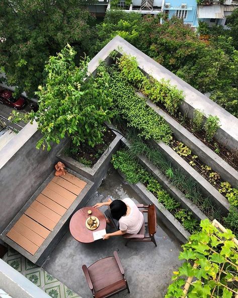 Rooftop Garden Urban, Roof Garden Design, Parisian Architecture, Garden Paradise, Station Service, Garden Canopy, Garden Architecture, Terrace Design, Rooftop Garden