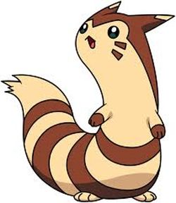 Step furret 08 How to Draw Furret from Pokemon with Easy Steps Drawing Lesson Steps Drawing, Drawing Pokemon, My Pokemon Team, Pokemon Heart Gold, Pokemon Tv, Popular Pokemon, Wild Pokemon, Pokemon Team, Drawing Lesson