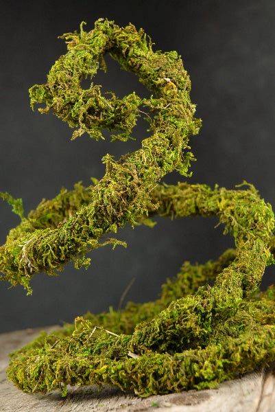 Purchase Preserved Moss Vine 6ft Voodoo Wedding, Enchanted Forest Bedroom, Enchanted Forest Prom, Wire Vine, Enchanted Forest Decorations, Lodge Christmas, Bouquet Succulent, Moss Grass, Enchanted Forest Party