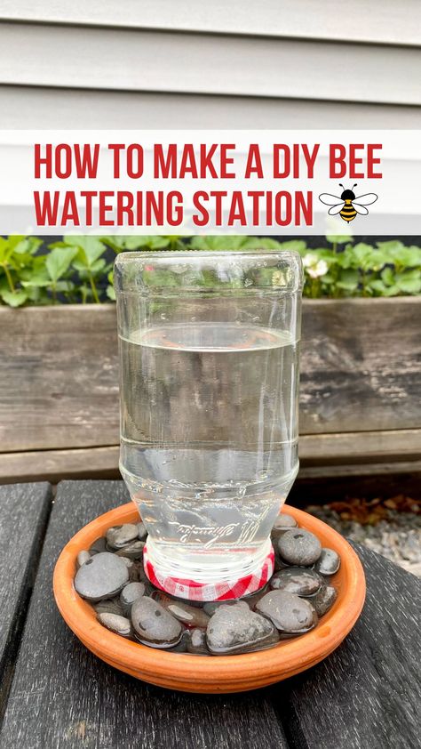 DIY Bee Watering Station Diy Pollinator Watering Station, Pollinator Water Station, Diy Bird Waterer, Bee Fountain Diy, Bee Waterer Station, Pollinator Watering Station, Butterfly And Bee Water Station, Bee And Butterfly Waterer, Diy Bee Cups For Garden