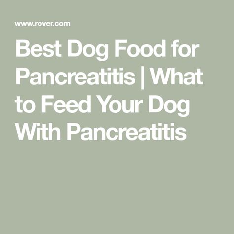 Pancreatic Diet Recipes Meals For Dogs, Bland Diet For Dog, Low Fat Pancreatic Diet, Foods For Pancreatic Health, Dog Pancreatic Diet, Pancreatic Diet For Dogs, Chicken Peas Recipe, What To Feed Dogs, Pancreatic Diet Recipes