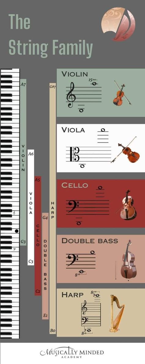 Music Project Ideas, Music Theory Aesthetic, Cello Aesthetic, Violin Chords, Orchestra Instruments, Cello Photography, Music Theory Piano, Viola Instrument, Musical Notation