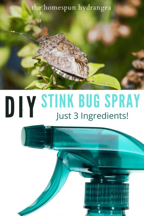 Stink Bug Spray, Stink Bug Killer, Stink Bug Repellent, Homemade Bug Repellent, Repellent Diy, Diy Bug Repellent, Bug Repellent Spray, Diy Bug Spray, Bug Spray Recipe