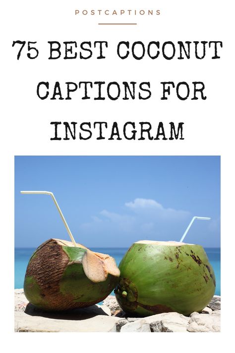 Looking for some fun coconut captions for your Instagram posts? We’ve got you covered! From funny one-liners to inspiring quotes, we’ve got 75 captions that will make your followers jealous of your tropical vacation. Coconut Quotes Instagram, Coconut Captions Instagram, Coconut Quotes, Beach Aesthetic Captions, Coconuts Quotes, Water Captions, Tropical Quotes, Ocean Captions, Tender Coconut