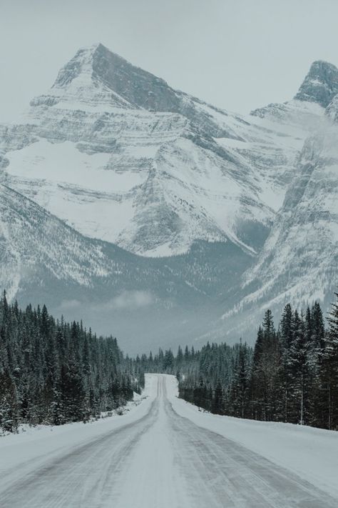 Canada Photography, Winter Szenen, Jasper National Park, Winter Scenery, Smoky Mountain, Alberta Canada, Winter Landscape, In The Mountains, Winter Scenes