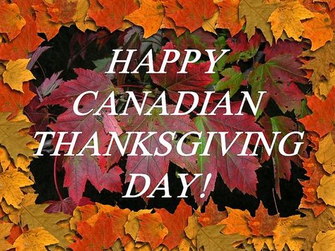 Canadian Thanksgiving Day Happy Canadian Thanksgiving, Happy Thanksgiving Canada, Seasons Name, Happy Columbus Day, Romper Room, Canadian Thanksgiving, Mottos To Live By, Thanksgiving Blessings, Canada Holiday