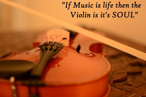 Violin quotes Qoutes About Violin, Violin Quotes Funny, Violin Quotes, Violin Aesthetic, Quotes About Music, Musical Aesthetic, Music Quote, Violin Players, Violin Lessons