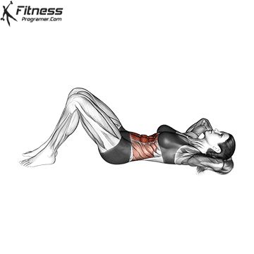 Fitness Program Builder Workout Circuit At Home, Dumbbell Back Workout, Best Core Exercises, Free Workout Plans, Gym Workout Guide, Best Core Workouts, Simple Exercise, Abs Exercises, Abs Workout Gym