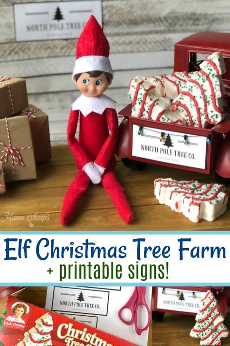 Elf Christmas Trees For Sale, Elf On A Shelf Christmas Tree Farm, Tree Farm Elf On The Shelf, Elf Christmas Tree Ideas Elves, Elf On Shelf Tree Farm, Elf Christmas Tree Farm, Elf Xmas Tree Ideas, Elf Tree Farm, Elf On The Shelf Tree Farm