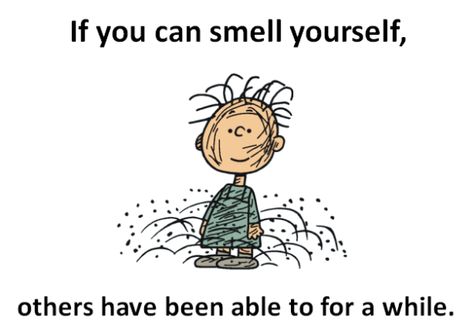 Have you ever finished a particularly sweaty workout, took in a deep breath and nearly choked on the scent of some extremely powerful body odor? Charlie Brown Quotes, Pig Pen, Charlie Brown Peanuts, Charlie Brown And Snoopy, Freshman Year, Peanuts Gang, A Cartoon, Image Quotes, Pigs