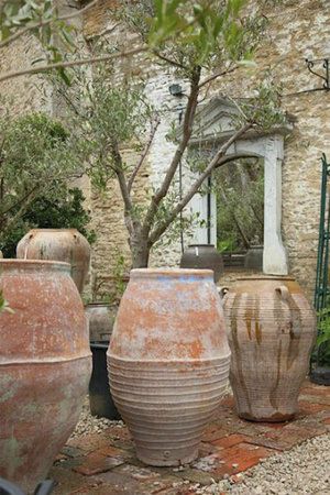 Toscana House, American Backyard, Olivier En Pot, Outdoor Urns, Mediterranean Landscape, Rustic Pots, Olive Jar, Garden Urns, Italian Garden