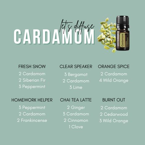 Cardamom Oil Blends, Cardamom Essential Oil Diffuser Blends, Cardamom Essential Oil Blends, Cardamom Diffuser Blends, Crunchy Living, Diffuser Blends Young Living, Cleaning Naturally, Essential Oils Focus, Cardamom Essential Oil