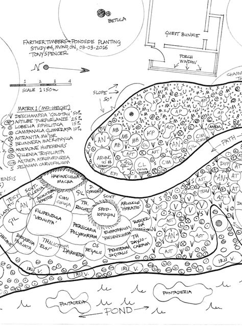 Designing with Remarkable Plantsmen: Piet Oudolf & Roy Diblik - The New Perennialist Roy Diblik Garden, Pier Oudolf, Piet Oudolf Planting Plan, Matrix Planting, Roy Diblik, Oudolf Garden, Modern Planting, Landscape Planner, Piet Oudolf