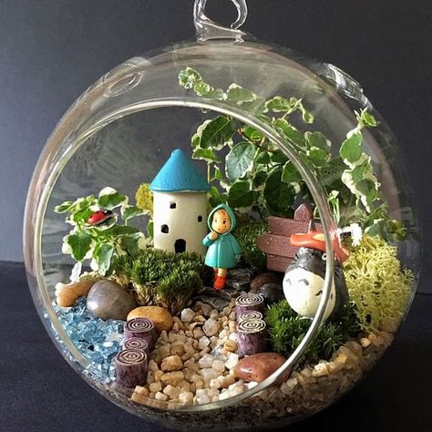 Totoro Terrarium, Terrarium Fairy Garden, Fairy Garden Art, Magical Fairy Garden, Fairy Terrarium, Fairy Garden Flowers, Indoor Fairy Gardens, Fairy Garden Kit, Fairy House Diy