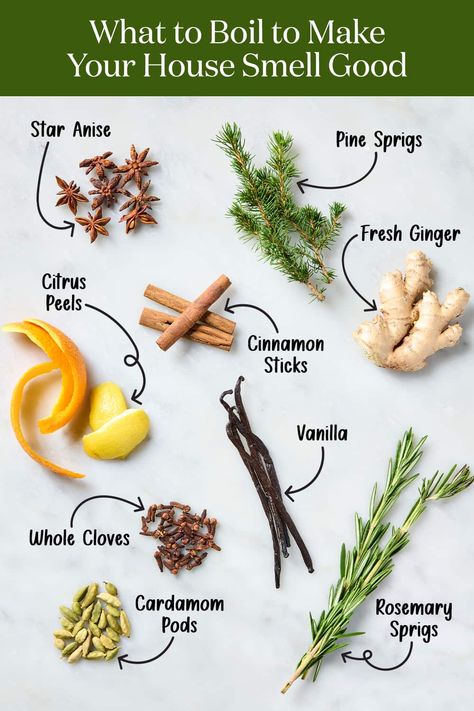 10 Easy Things to Simmer to Make Your Home Smell Amazing Make The House Smell Good, Make House Smell Good, Stovetop Simmer, Make Your House Smell Good, Cinnamon Smell, Boil Lemons, Make Your Home Smell Amazing, Simmer Pot Recipes, Potpourri Recipes