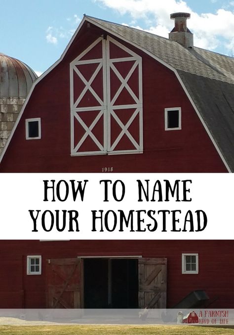 Naming your homestead adds a certain amount of charm to your place. But how does one go about choosing a name that fits? Here are a few tips... Naming Your House, Naming Homestead, Homestead Names Ideas, Naming Your Farm, Farm Names Ideas, Farm Names, What Do We Get From Farm Animals, Farm Name Generator, Buying Land For Homestead