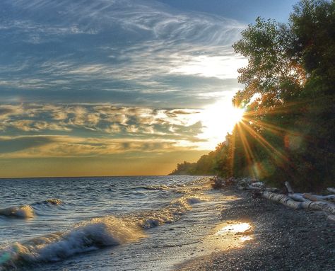 Scenic overlooks and a natural beach along Lake Erie Lake House Trip, Niagara Falls Trip, Rye Beach, Lake Weekend, Soil And Water Conservation, Put In Bay, Observation Tower, Park Trails, Scenic Byway