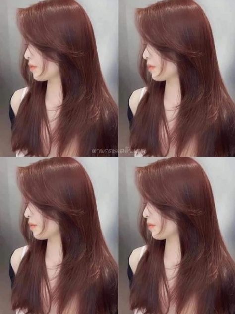 Runway Ready  & social media marketing Korean Dyed Hair, Korean Hair Dye, Strawberry Brown Hair, Chocolate Cherry Hair Color, Office Film, Qi Qi, Beige Hair, Korean Hair Color, Pretty Hair Color