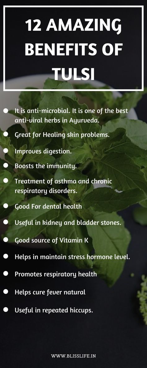 Tulsi Herb Benefits, Tulsi Benefits Health, Tulsi Benefits, Tulsi Basil, Herb Medicine, Ayurvedic Plants, Tulsi Plant, Vitamin A Foods, Ayurveda Life