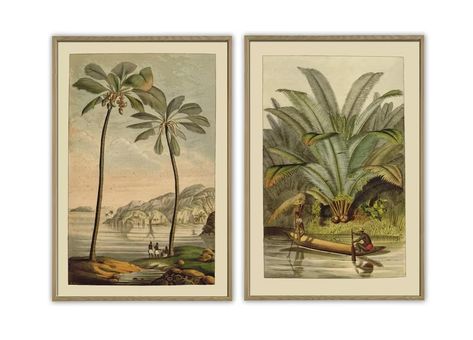 Palm Tree Sketch, West Indies Decor, Tropical British Colonial, Illustration Botanique Vintage, Palm Tree Decorations, British Colonial Decor, Palm Tree Wall Art, Palm Tree Art, River Landscape