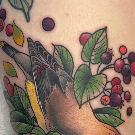 Liza Musselman on Instagram: "Cedar Waxwing with serviceberries for DeAnne! More birds pleeeeaaase!  🍒🐦‍⬛🌿" Cedar Waxwing, June 22, Birds, Tattoos, On Instagram, Instagram