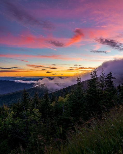 Sunset at Clingmans Dome in Great Smokey Mountains National Park. [OC][1524 x 1905]  Click the link for this photo in Original Resolution.  If you have Twitter follow twitter.com/lifeporn5 for more cool photos.  Thank you author: https://bit.ly/314f6vs  Broadcasted to you on Pinterest by pinterest.com/sasha_limm  Have The Nice Life! Smokey Mountains Tennessee Photography, Smokey Mountains Tennessee Aesthetic, Smokey Mountains Tennessee Pictures, Smokey Mountains Aesthetic, Skateboard Images, Mountains Background, The Smokey Mountains, Smokey Mountains National Park, Smokey Mountains Vacation