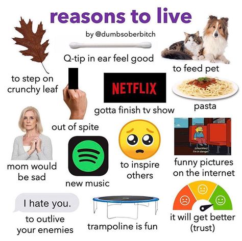 Best Trampoline, Reasons To Live, It Gets Better, I Hate You, Starter Pack, Staying Alive, Trust Yourself, Mood Pics, Feel Better