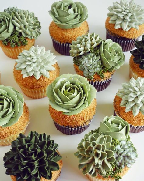 This Artist Creates Stunning Cakes You Would Rather Put On Your Windowsill Than In The Fridge Cupcakes Succulents, Pastries Recipes, Succulent Cupcakes, Cactus Cake, Recipes Dessert, Pretty Cakes, Cute Cakes, Cupcakes Decoration, Bridal Showers