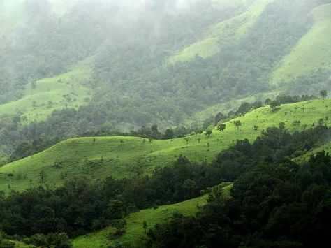 Kudremukh To the South-West of Chikmagalur is this picturesque green mountains of Kudremukh. The hill gets its name due to its shape in the ... Kodaikanal, Geothermal Energy, Western Ghats, Ooty, India Tour, Hill Station, South India, Quito, Hill Country