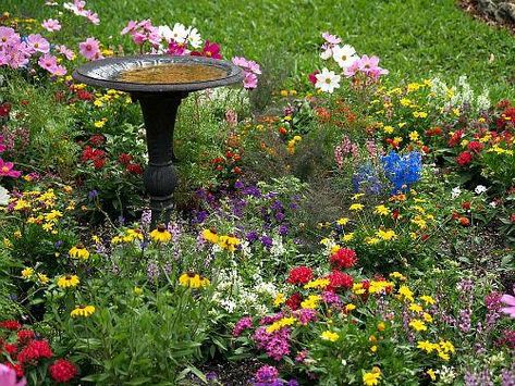 How to Build a Butterfly Garden- Butterfly gardens are beautiful, fun to build, and a great way to help out your local butterfly populations! If you want to build a butterfly garden in your yard, check out this guide! Getting started is a lot easier than you might think! | #butterflyGarden #gardening #garden #butterflies #butterfly #gardeningTips #howtobuildabirdhouse Butterfly Garden Plants, Butterfly Gardens, Funny Vine, Butterfly Garden Design, Hummingbird Garden, Pollinator Garden, Garden Care, Easy Garden, Butterfly Garden