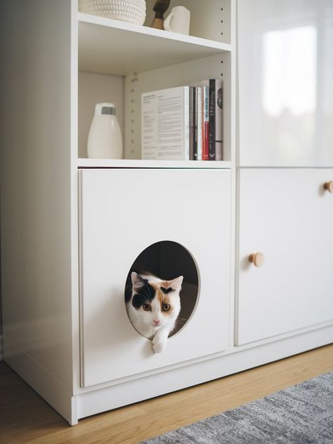 27 DIY Cat Litter Box Ideas – The DIY Desire Covered Litter Box Diy, Hidden Litter Box Cabinet, Cat Litter Box Enclosure Diy, Diy Litter Robot Enclosure, Litter Box Area Ideas, Litter Robot Cabinet Diy, Hide Cat Litter Box Diy, Hidden Cat Litter Box Ideas, Diy Litter Box Enclosure