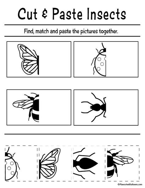 Insect Worksheet, Scissor Skills Preschool, Preschool Worksheets Free Printables, Pre K Worksheets, Insects Preschool, Bugs Preschool, Cut And Paste Worksheets, Free Preschool Printables, Free Preschool Worksheets