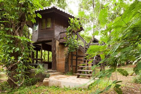 Tree House 10 mins drive fr center - Treehouses for Rent in Mueang Chiang Mai, Chiang Mai, Thailand Luxury Tree Houses, Treehouse Hotel, Tree House Designs, Nature Home, Home Stay, Chiang Mai Thailand, Concrete Jungle, Texas Hill Country, Tiny House On Wheels