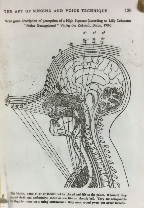 Music Basics, Music Theory Piano, Learn Music Theory, Music Theory Lessons, Learn Singing, Singing Techniques, Vocal Lessons, Piano Music Lessons, Music Theory Guitar